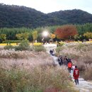 환경생태평가연구원 이미지