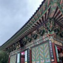 쑥고개:마음오는길 | 🌧️ 강진 무위사 템플스테이 후기, 비 오는 날 마음이 깊어지는 1박 2일 🧘‍♀️