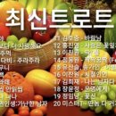 패티스 이미지