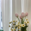 캄앤코
