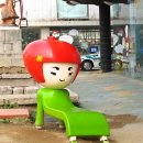프로방스쌈지 이미지
