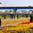 랜드마크 이미지