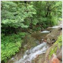 숙희네농원황토민박 이미지