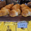 수애리 이미지