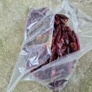 7월27일 1치 고추 건조 완료 이미지