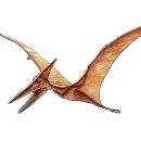 프테라노돈 이미지