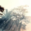 바램 - 부산진구 | 바램
