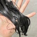 센스 | 헤어클리닉 부럽지 않은 5ENSE 파이브센스 트리트먼트 홈케어 후기 (샴푸선물 추천)