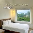 족황상제표선점 | 제주 귤림재, 제주 동쪽 감성숙소 (+ 자쿠지, 귤밭뷰)