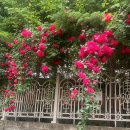 옥계북로3길-2 이미지