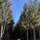 탑게임장 | 강원도 아이랑 2박3일여행: 둘째날 애니포레 탑스텐강릉