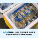 수강상회 이미지