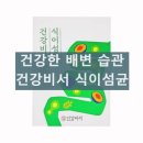 건강비서 식이섬균 내돈내산 효과 후기 만성변비 임산부 장건강 복용방법
