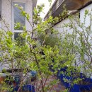 정도농장 이미지