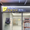 365 마음동물병원 | 영등포 동물병원 포커스 동물의료센터, 강아지 슬개골 탈구 검진 후기