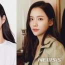 와이블 이미지