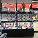 개청순한고양이 이미지