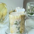 솝앤버블스 이미지