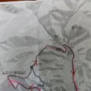 당지지 이미지
