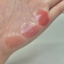 글로우짐(2호점) | pyt 틴트 일본 후기 : 불량연애 키쨩 립 3종 전격 비교