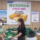 제주특별자치도청