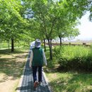 씨사이드파크 이미지