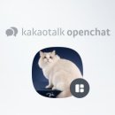 바비돌/픽시윙스캐터리 이미지