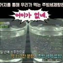 리치박