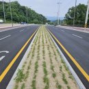 지방도345호 이미지