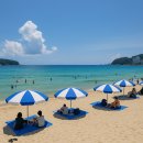 펫택시119 | 🏖 2025 동해 해수욕장 개장 완벽 가이드: 인기 해변 7곳·교통·물놀이 꿀팁