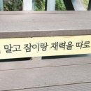 동곡꽃게장 이미지