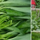 판산골농장 이미지