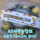 세일농장 | 여름맞이 건강한 한끼, All바른농장 애플망고 &amp; 리코타 샐러드 후기