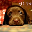 나갈래 이미지