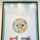 젤라또조이 - 수영구 광안로 41 | 젤라또조이