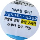 2026 부산항 축제 자갈치 크루즈 투어와 각종 체험 및 행사 후기