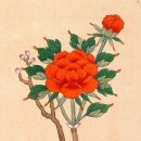 민화모란도 | 모란도 Peony