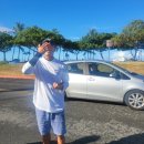 블루오션 | 하와이 거북이스노쿨링 블루오션투어 내돈내산 후기