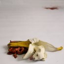 디자인오감 세계일보