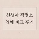 소원재 | 신생아작명 비교 후기: 비선 소원재 vs 예스네임 vs 정수역학연구소