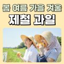 봄여름과일겨울