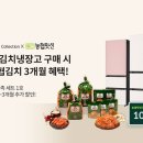 와이31