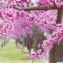 우리 동네 이미지