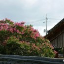 충간공보물제651호박물관 이미지