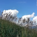 장열초등학교 이미지