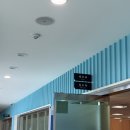 양산시청 | 생애최초 취득세 감면 반납 자진신고 후기 | 양산시청 세무과