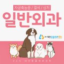24시 대전동물의료센터 이미지