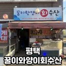씨유 포승향남로점 | 평택 포승 꿀이링양이 회수산 산오징어회 포장 내돈내산 후기