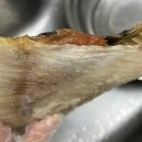오리진수산 반건조 생선 세트 :: 밥반찬 걱정 끝! 가자미, 열기, 임연수 세트 구입후기