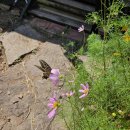 이신농장 이미지